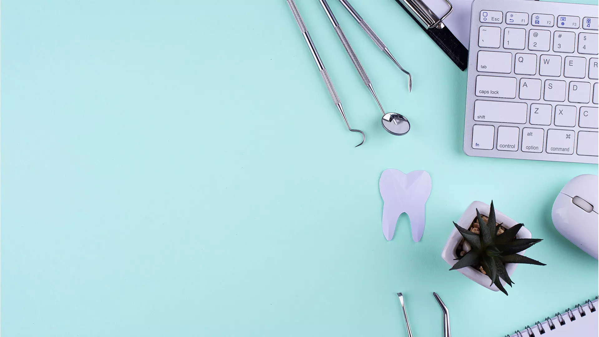 Home 7 Dental instruments on a mint background